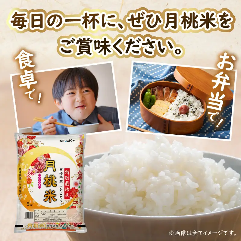 《令和7年産》特別栽培米 宮崎県産月桃米コシヒカリ お米 米 白米