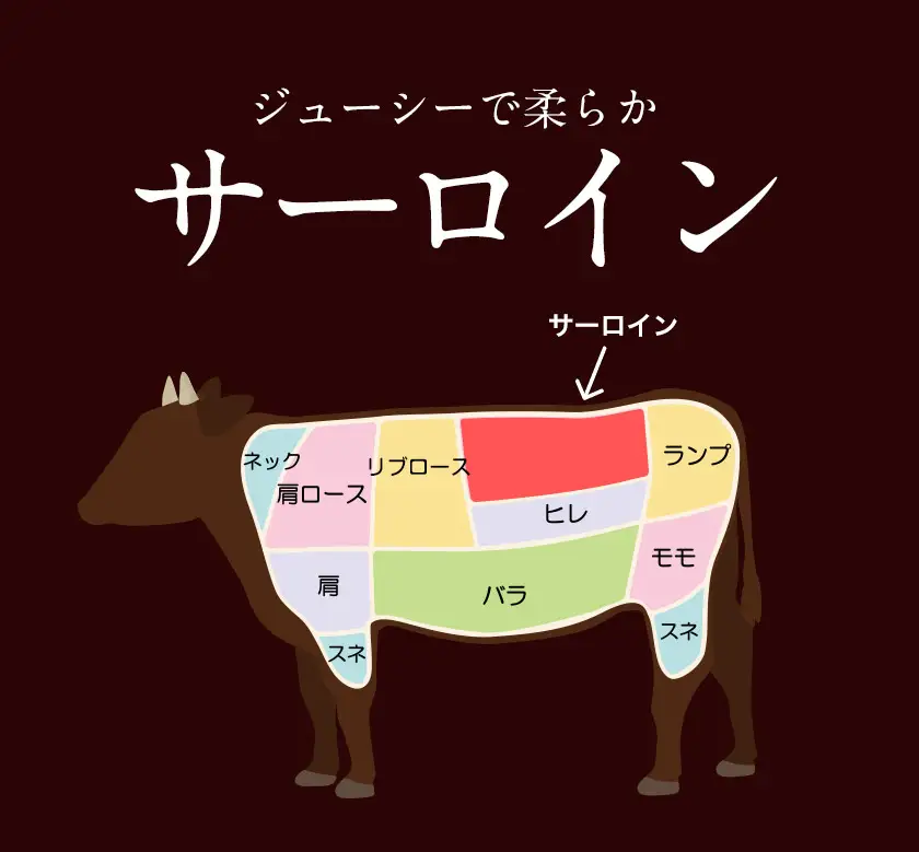 ステーキ 赤身 牛肉 サーロインステーキ 送料無料 あか牛 小分け 熊本県産 500g ( 250g x 2枚 ) 小分け 個包装 ステーキ肉 あかうし 赤牛 あか牛丼 にも ジューシー 焼肉 《30日以内に出荷予定(土日祝除く)》