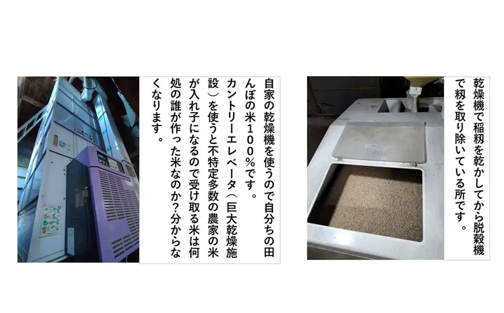 【令和7年産】秋田県産「あきたこまち」玄米10kg（10kg×1袋）　【180P9023】