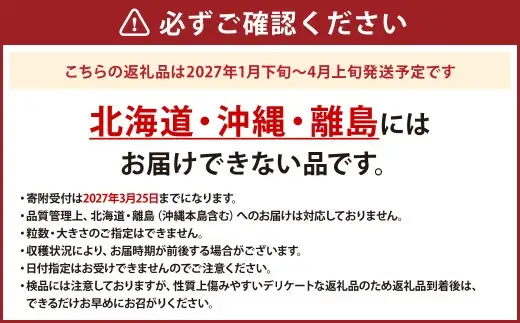 熊本県産 恋みのりいちご 約250g×6パック イチゴ 1.5kg【2027年1月下旬発送開始】