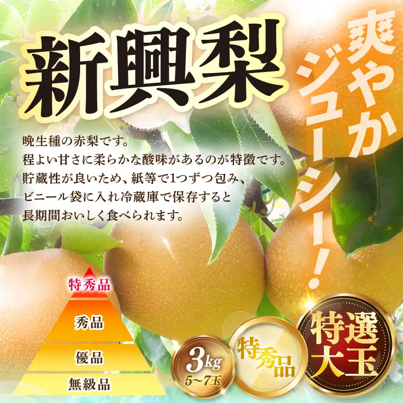【先行予約】定期便 ≪3回お届け≫ 旬のフルーツ定期便 全3回 赤肉パリスメロン・シャインマスカット・新興梨【2026年7月以降順次発送予定】 [aw077-b005]