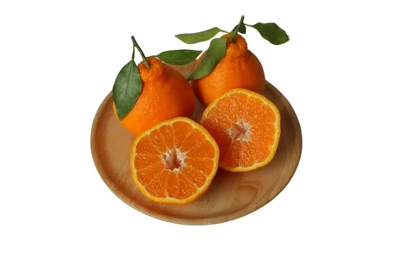  不知火ジュース CRAFT ORANGE 100％果汁 2本 / 早生みかん 早生 ミカン 柑橘 不知火 ジュース deuce じゅーす フルーツ 果物 紀州産 和歌山県【kjt012-1】