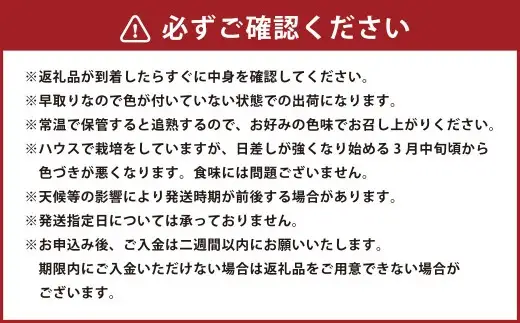 訳ありトマト 8～14玉 （約2kg）【2027年1月中旬～5月下旬発送予定】 トマト 訳あり とまと 野菜 新鮮 新鮮野菜 ZS-995