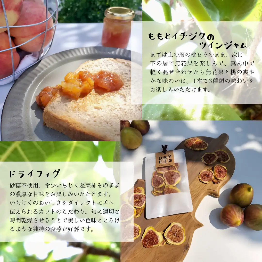 DD-014_福岡県行橋産 【いちじく＆シャインマスカット堪能セット】　いちじくジャム ドライいちじく　シャインマスカットのコンポート　詰め合わせ(いちじくジャム6種 シャインマスカットのコンポート1種 ドライいちじく1種 計8点) 手作り 無添加