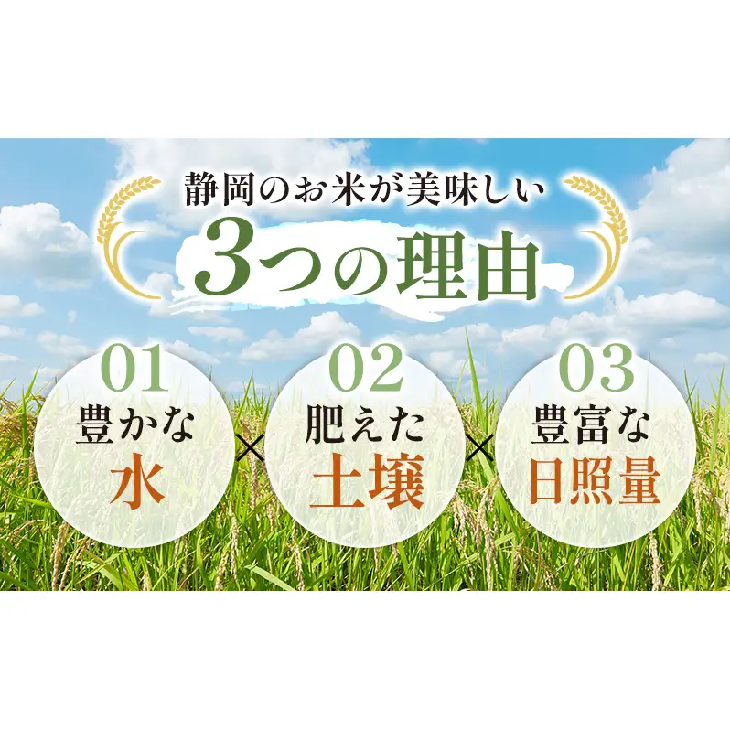 【令和7年度産】静岡県産米 にこまる 特A 5kg 川島米穀店 お米 精米 こめ ご飯 白米 静岡 浜松市