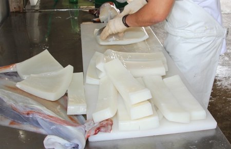【2025年12月から発送】冷凍ソデイカ　1Kg(6~8人前)