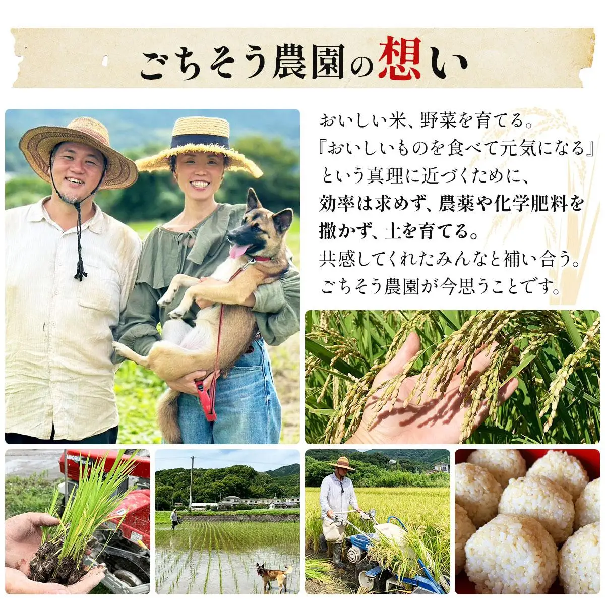 農薬・除草剤・肥料不使用 自然栽培米 令和7年度産ヒノヒカリ 白米 3kg