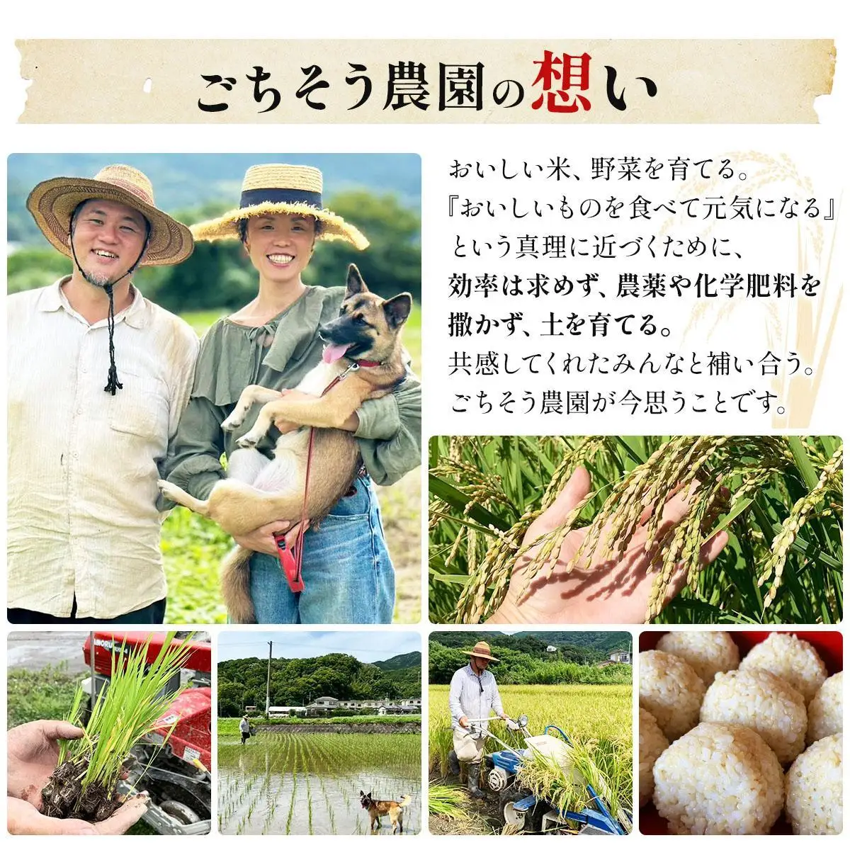 農薬・除草剤・肥料不使用 自然栽培米 令和7年度産ヒノヒカリ 玄米 3kg