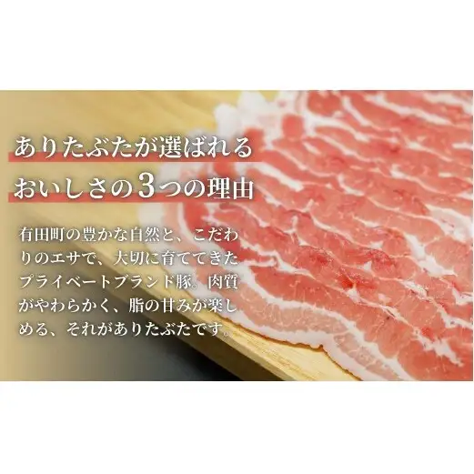 【手軽！ありたぶた5種】ありたぶた 5種 Bセット 【有田まちづくり公社】豚 ぶた 豚肉 赤身 モモ ロース 薄切り スライス ハンバーグ 餃子 ぎょうざ セット 小分け 真空 パック 佐賀県産 有田町産 ブランド豚 N12-21