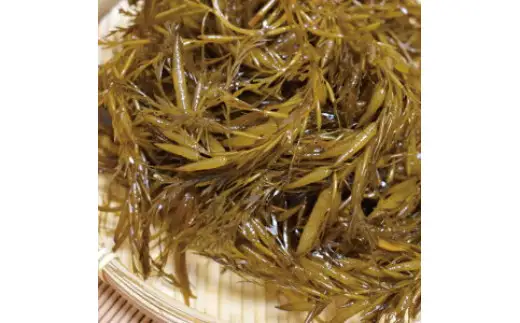 ［由良町産］ 紀州 あかもく 由良町産 100g×7パック 2026年産/ 海藻 フコイダン もずく 【sml214-100-7】 