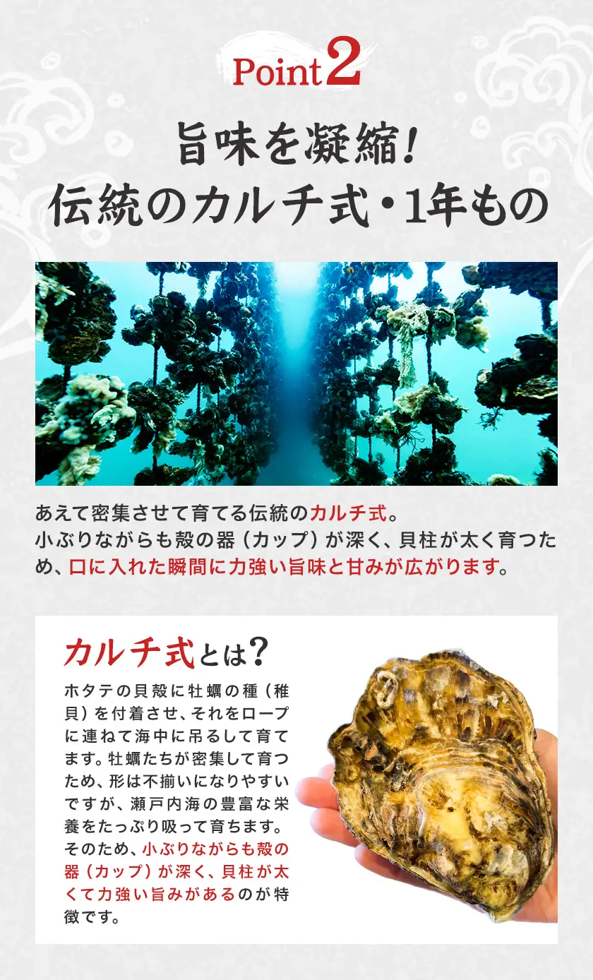 笠岡産 牡蠣 TAKIOKAプレミアム カルチ式 (加熱用) 3kg 牡蠣