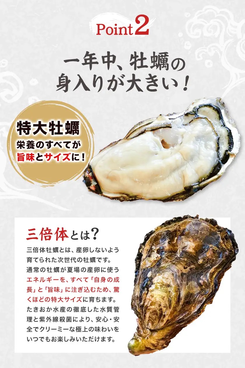 笠岡産 牡蠣 TAKIOKAプレミアム 三倍体 (加熱用) 15個 牡蠣