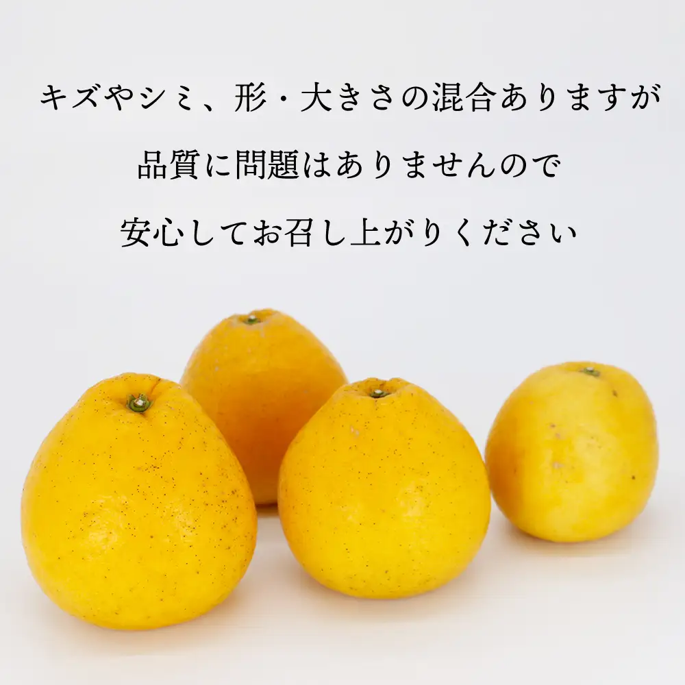 訳あり 愛南ゴールド（河内晩柑） 9kg サイズ(Ⅿ～2Ⅼ) みかん 愛媛 河内晩柑 石川ファーム