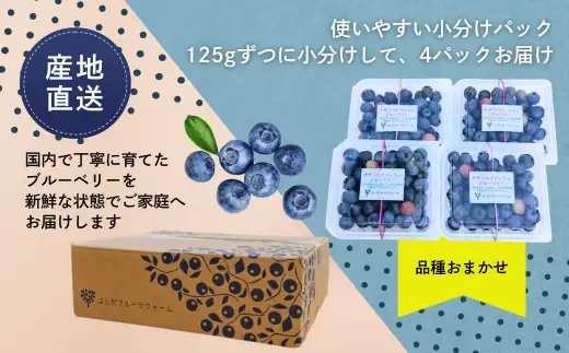 【2026年6月中旬～順次発送】国産 生ブルーベリー 500g (125g×4パック)品種おまかせ
