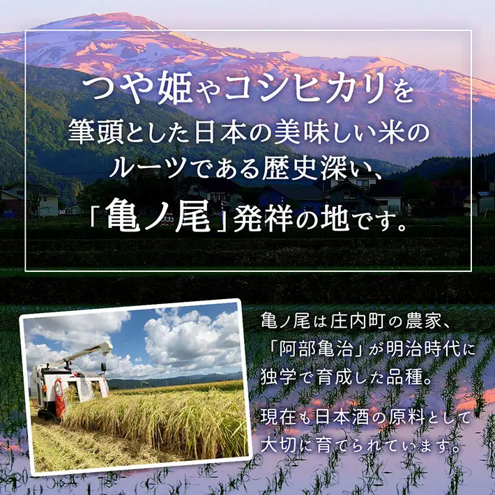 【新米受付】令和8年産 特別栽培米 ひとめぼれ 5kg 石垣農園 5kg×1袋 2026年産 ブランド米 米 国産 単一原料米 山形 庄内平野 コシヒカリの原点、亀の尾発祥の地 庄内【R8.10月以降発送開始/入金期限：2026年9月15日】