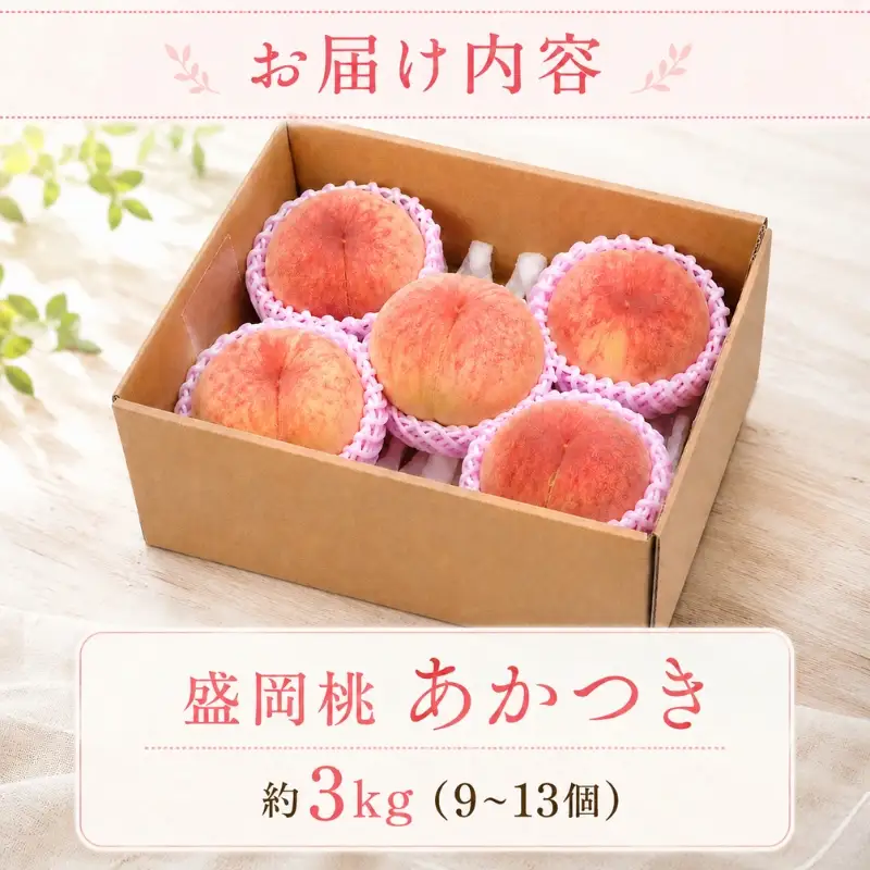 【先行予約】 桃あかつき約3kg(9~13個)【8月上旬～順次発送】【asashima002】