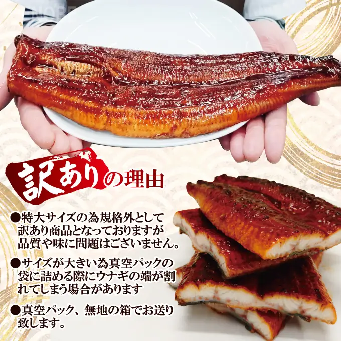 うなぎ 訳あり 1尾 計300g以上 うなぎ 【ho1684】