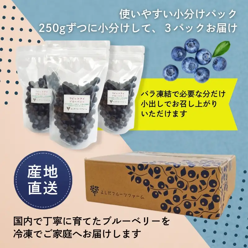 【2026年8月中旬～順次発送】国産 冷凍ブルーベリー 750g (250g×3パック)