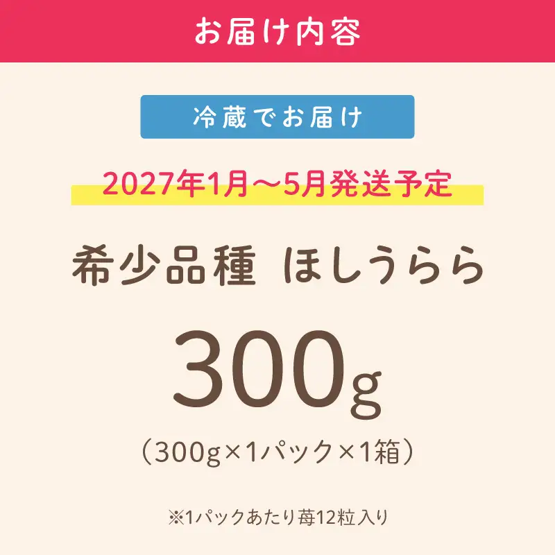 【2027年1月～5月発送予定】【糖度12〜15度の希少品種】いちご ほしうらら 約300g（約300g×1パック×1箱）【配送不可地域：北海道・沖縄・離島】【121E-002-2027】