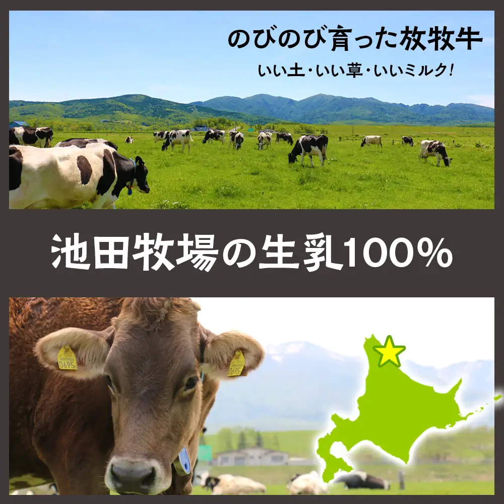 放牧牛 アイスクリーム 食べ比べセット（ミルク4個・イチゴ2個・そばの実2個・チョコ2個・レモン仕立て2個）5種類計12個 【池田牧場】