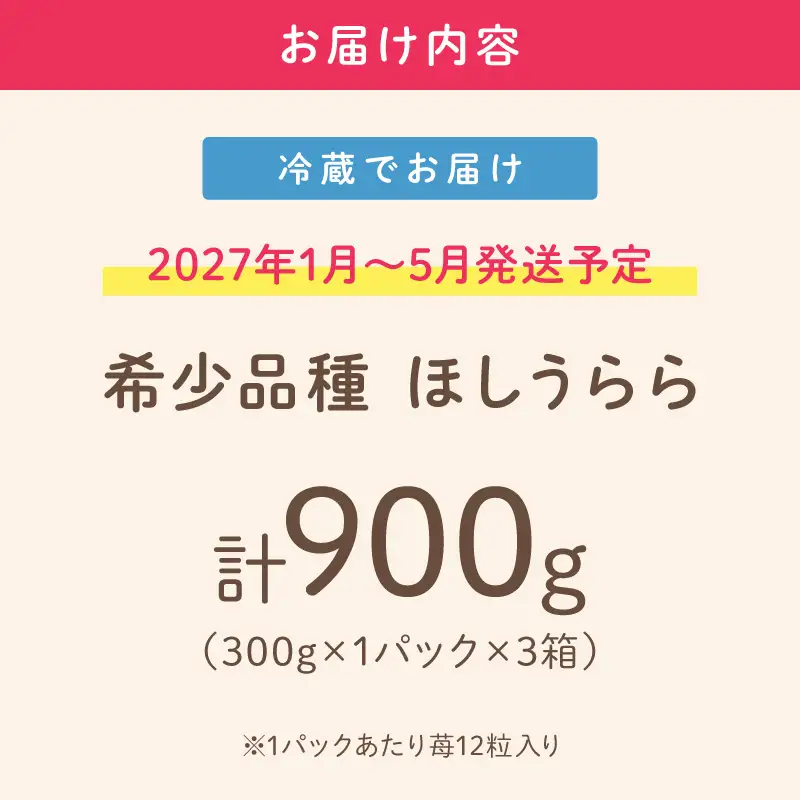 【2027年1月～5月発送予定】【糖度12〜15度の希少品種】いちご ほしうらら 約900g（約300g×1パック×3箱）【配送不可地域：北海道・沖縄・離島】【121D-003-2027】
