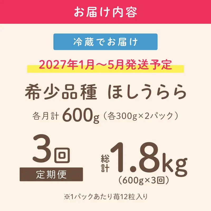 【2027年1月～5月発送予定】【糖度12〜15度の希少品種】いちご  ほしうらら 約600g（約300g×2パック×1箱）3ヶ月定期便【配送不可地域：北海道・沖縄・離島】【121C-006-2027】
