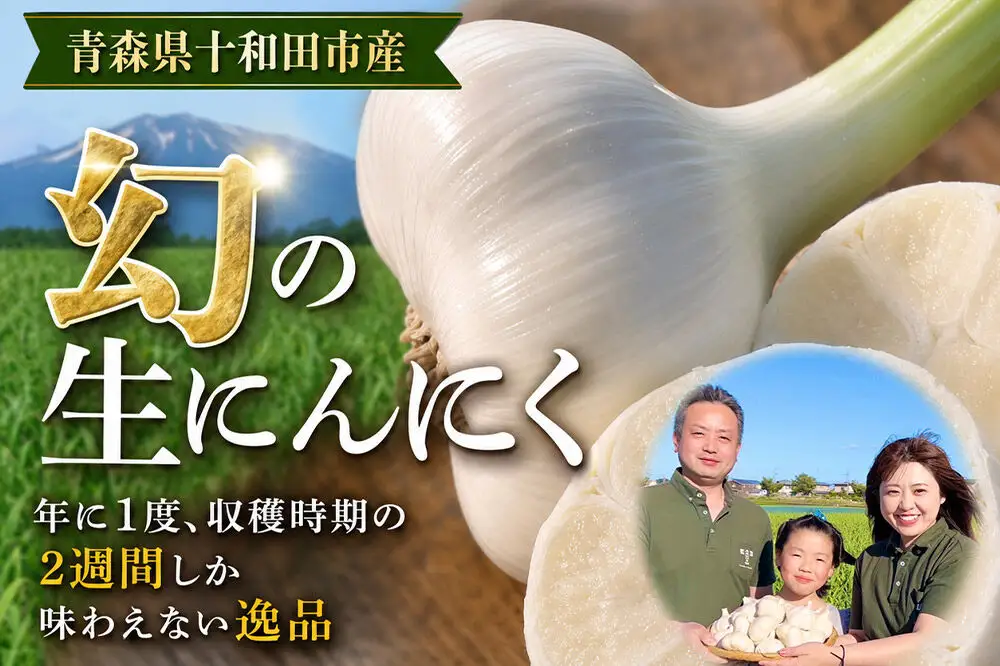 先行受付【テレビ紹介】青森 幻の生にんにく13玉（農家直送・収穫期だけの限定品） 青森にんにくファーム
