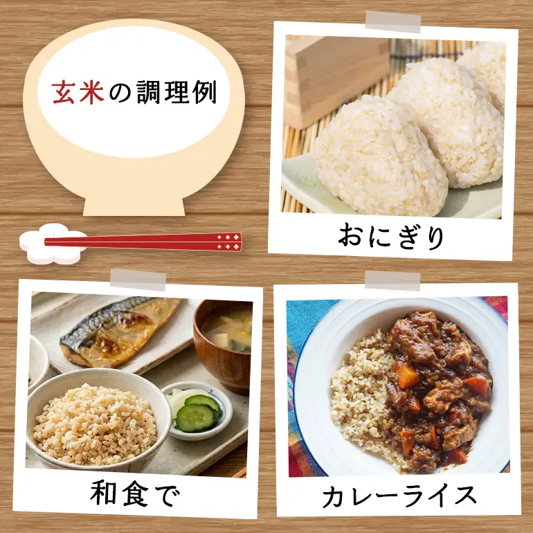 玄米 米 5kg 八百津町産コシヒカリ！ 数量限定 Y046-003