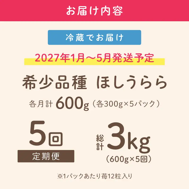 【2027年1月～5月発送予定】【糖度12〜15度の希少品種】いちご ほしうらら 約600g（約300g×2パック×1箱）5ヶ月定期便【配送不可地域：北海道・沖縄・離島】【121B-003-2027】