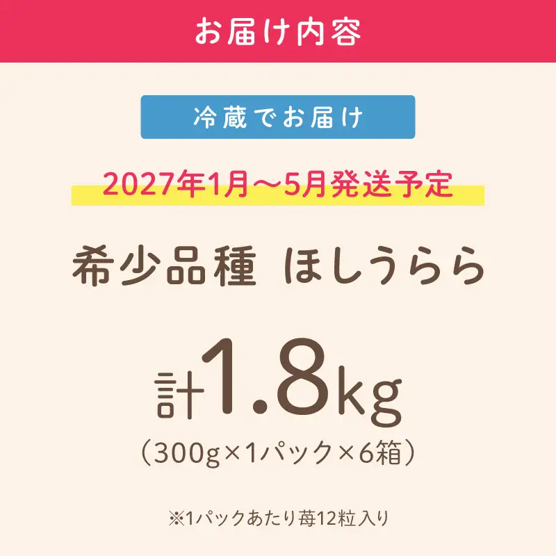 【2027年1月～5月発送予定】【糖度12〜15度の希少品種】いちご  ほしうらら 約1.8kg（約300g×1パック×6箱）【配送不可地域：北海道・沖縄・離島】【121C-002-2027】