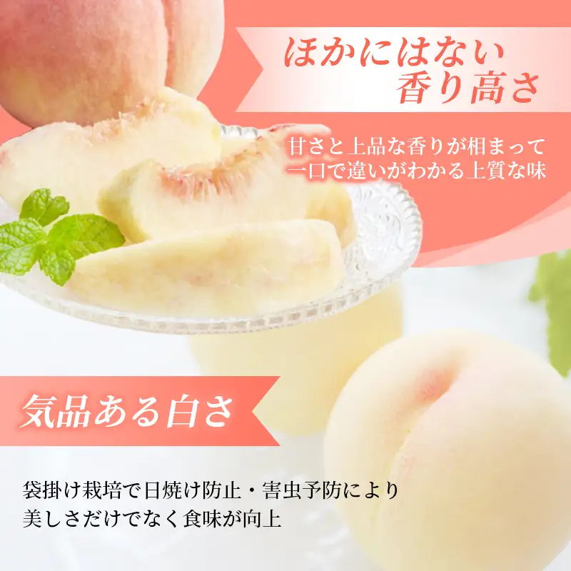 【2026年先行予約】 岡山県産 白皇 2kg 訳アリ はくおう 花田青果【8月中旬～9月初旬まで順次発送予定】【hnds007】