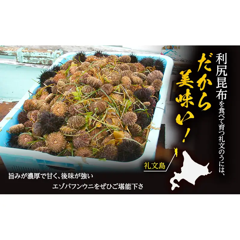 北海道 礼文島産 採れたて ミョウバン不使用 エゾバフンウニ 塩水パック180g×1個［船泊漁業協同組合］【 うに ウニ 雲丹 生うに 塩水うに バフンウニ 滅菌海水 海鮮 うに丼 濃厚 甘み 】