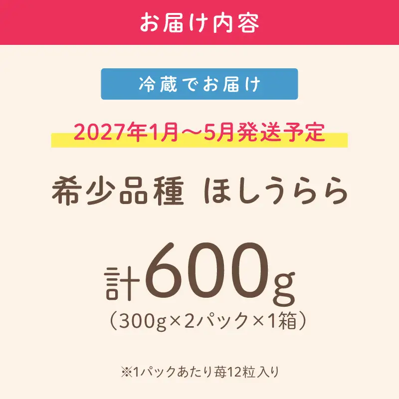【2027年1月～5月発送予定】【糖度12〜15度の希少品種】いちご  ほしうらら 約600g（約300g×2パック×1箱）【配送不可地域：北海道・沖縄・離島】【121D-006-2027】