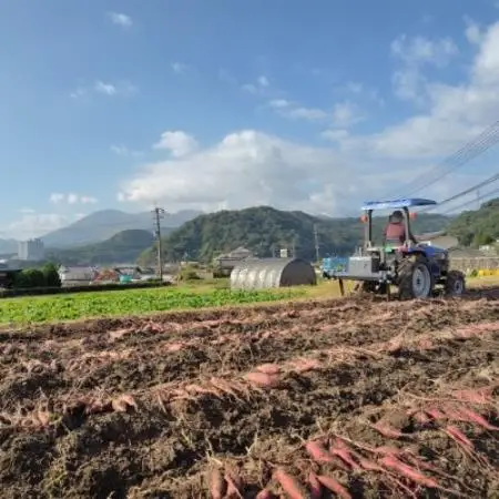 大分県日出町産・干し芋食べ比べセット「平干しタイプ100g×5袋」と「ひとくちタイプ90g×5袋」【1729065】