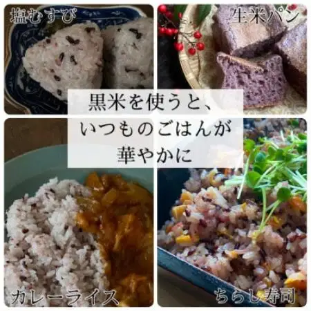 【令和8年産先行予約】有機栽培 天日干し 訳あり黒米(玄米) 450g【1733884】