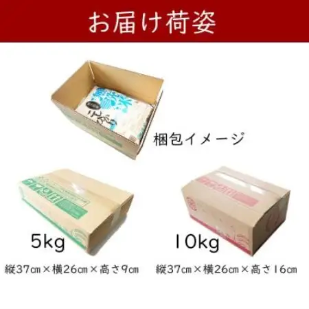 【無洗米】令和7年産 岡山県産 こしひかり 5kg×2袋(合計10kg)【1735916】