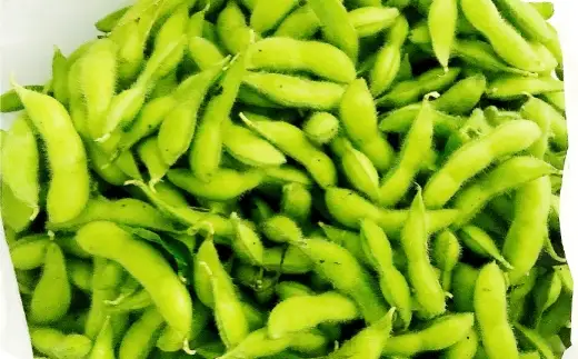 幻の大豆 身延町特産 あけぼの大豆 約300g × 2袋 × 2箱セット（ 合計4袋 約1.2kg ） 大豆 豆 豆類 甘み 枝豆 国産 山梨県産 国産大豆 幻 【2026年10月下旬から順次発送予定】