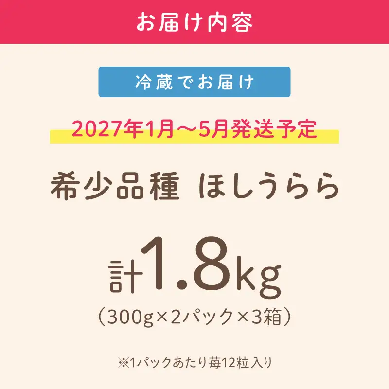 【2027年1月～5月発送予定】【糖度12〜15度の希少品種】いちご  ほしうらら 約1.8kg （約300g×2パック×3箱）【配送不可地域：北海道・沖縄・離島】【121C-005-2027】