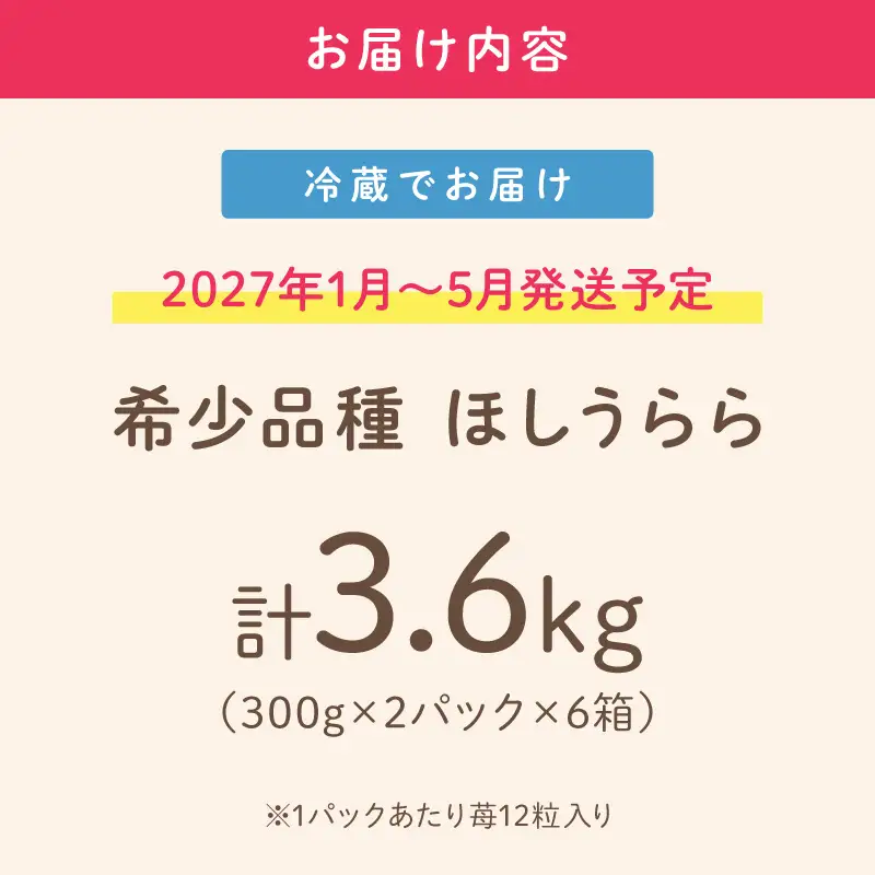 【2027年1月～5月発送予定】【糖度12〜15度の希少品種】いちご  ほしうらら 約3.6kg（約300g×2パック×6箱）【配送不可地域：北海道・沖縄・離島】【121B-001-2027】