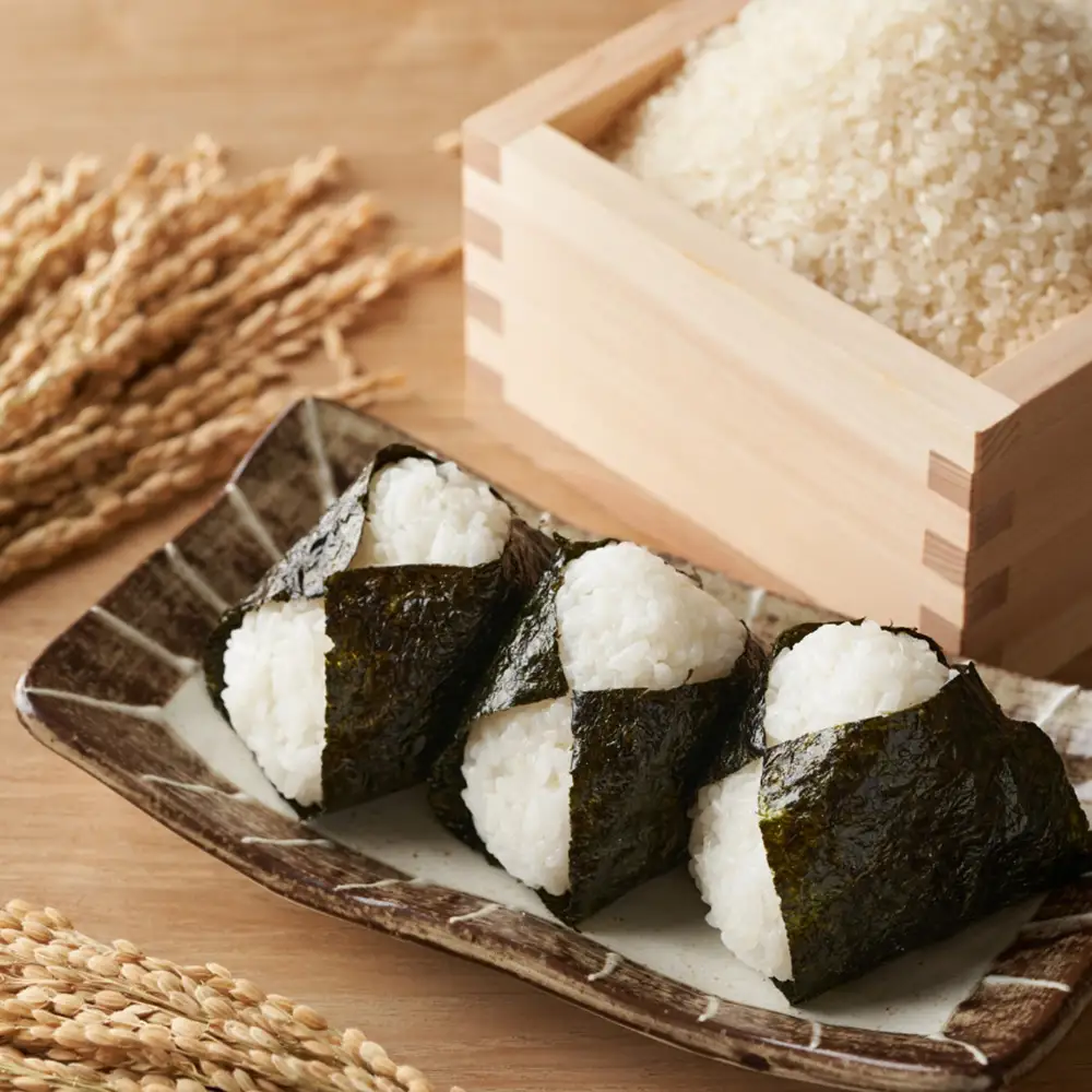 【令和8年産 先行予約】喜多方産ひとめぼれ10kg　【07208-0835】
