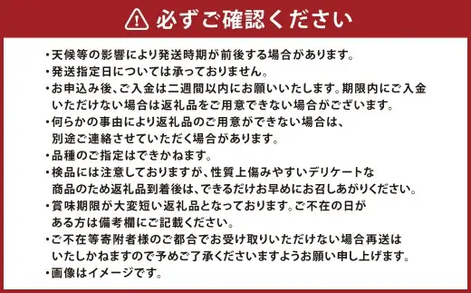 岡山白桃 （ 中世 ） 6玉 （ 1玉 240g以上 ） 白桃 果皮 有袋栽培 くだもの 果物 果実 国産 岡山県産 果肉 フルーツ もも モモ 桃 果汁 糖度 食感 【 2026年7月上旬～8月下旬発送予定 】