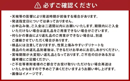つる付きニューピオーネ 3房 （ 1房 580g以上 ） 露地栽培 ニューピオーネ つる付き 果汁 果物 くだもの 果実 フルーツ 葡萄 ぶどう ブドウ 【 2026年9月上旬～10月下旬発送予定 】