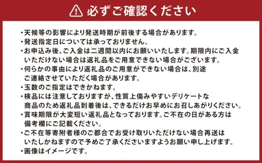 あたご梨 約4kg （ 3 ～ 6玉 ） 梨 なし ナシ くだもの 果物 果実 フルーツ あたご 贈答 贈答品 完熟 国産 岡山県産 【 2026年11月下旬～12月下旬発送予定 】