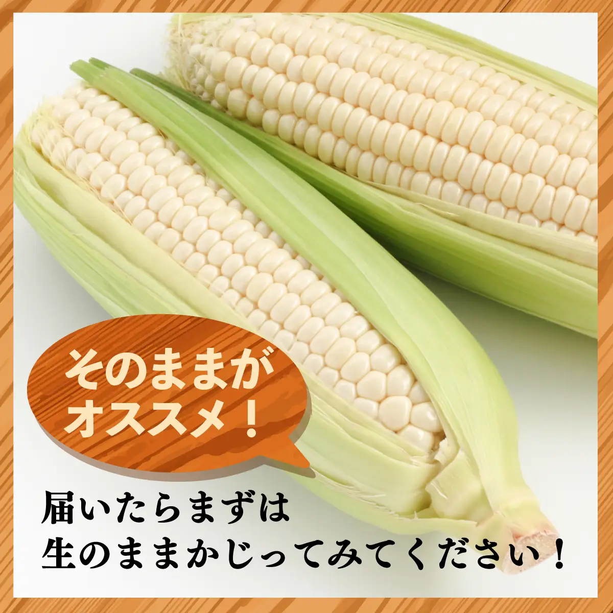 太陽のとうもろこし 【雪の妖精】 6本セット | とうもろこし