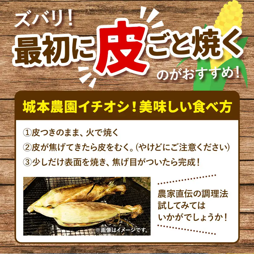 《先行受付開始》産地直送 とうもろこし 朝採れ スイートコーン ゴールドラッシュ 3本セット 城本農園《2026年7月中旬-8月中旬頃出荷》
