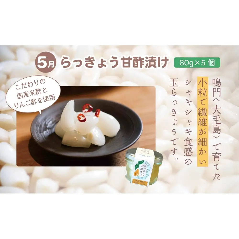【全4回定期便】鳴門大毛島わかめ・らっきょうセット（1/3/5/7月）
