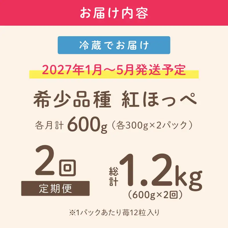 【2027年1月～5月発送予定】【いちご本来の甘酸っぱさを味わう】定番人気 紅ほっぺ 約600g（約300g×2パック×1箱）2ヶ月定期便【配送不可地域：北海道・沖縄・離島】【121D-012-2027】