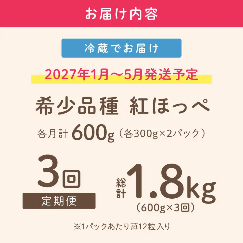 【2027年1月～5月発送予定】【いちご本来の甘酸っぱさを味わう】定番人気 紅ほっぺ 約600g（約300g×2パック×1箱）3ヶ月定期便【配送不可地域：北海道・沖縄・離島】【121C-011-2027】