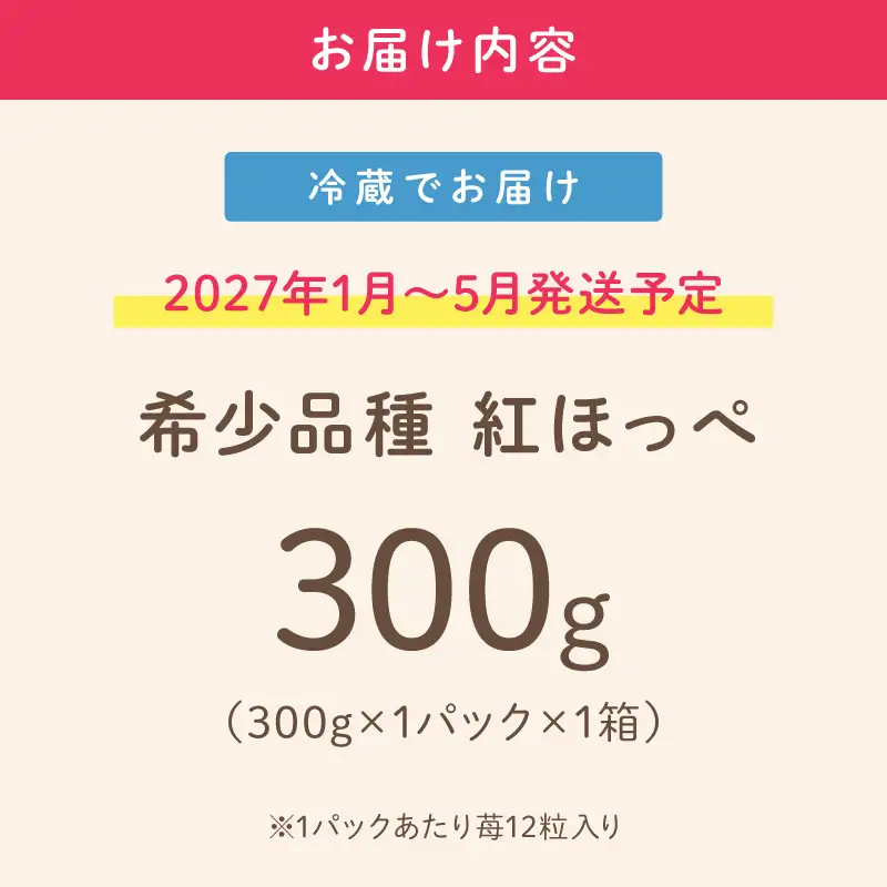 【2027年1月～5月発送予定】【いちご本来の甘酸っぱさを味わう】定番人気 紅ほっぺ 約300g（約300g×1パック×1箱）【配送不可地域：北海道・沖縄・離島】【121E-003-2027】