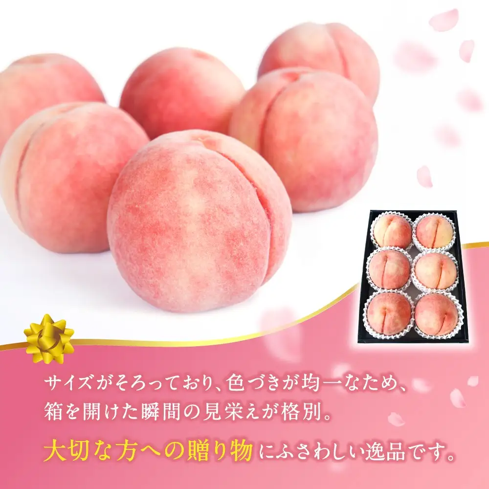 数量限定先行予約！川中島白桃　約2kg 6個入 100個に1個の特選最上級秀品！＜2026年7月末から8月末順次発送＞【BK-kgr036】
